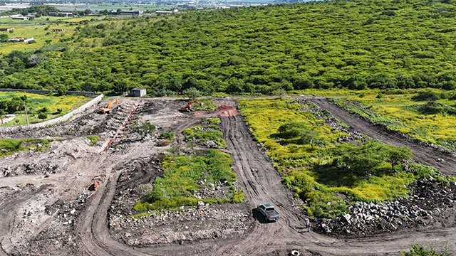 Imagen de Galería 8